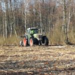 Odkrzaczanie wierzb zarastających Bagno Całowanie