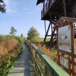 Scieżka 13 błota stóp