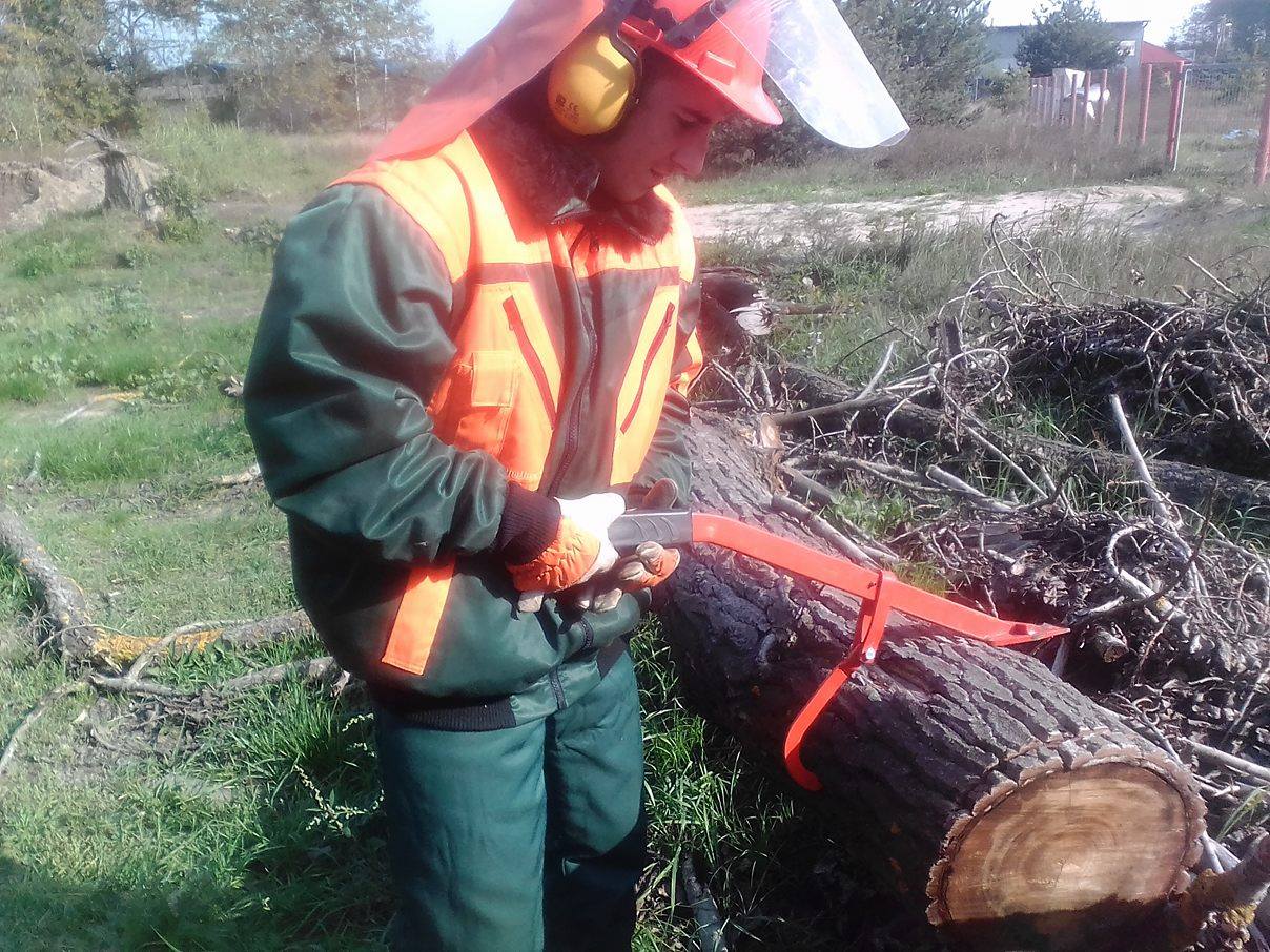 Kurs - Operator pilarki mechanicznej do ścinki drzew