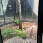 Muzeum-Miejsce Pamięci Palmiry2